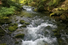 20200606_132250